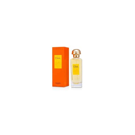 hermes caleche 50 ml|hermes caleche luggage.